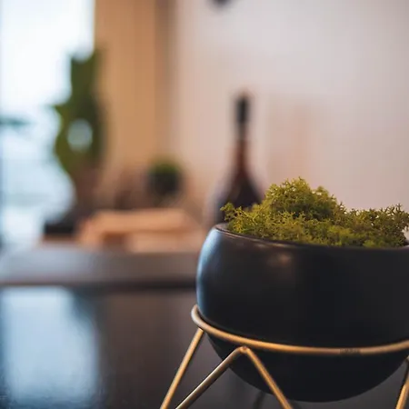 Ocean View Ribeira Grande