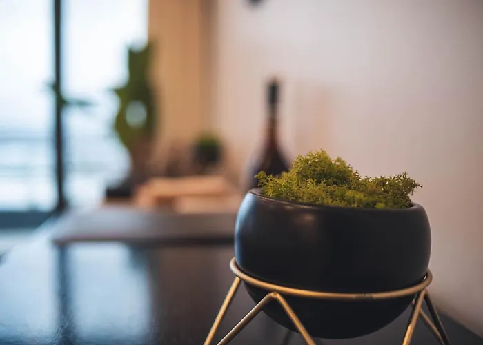 Ocean View Ribeira Grande